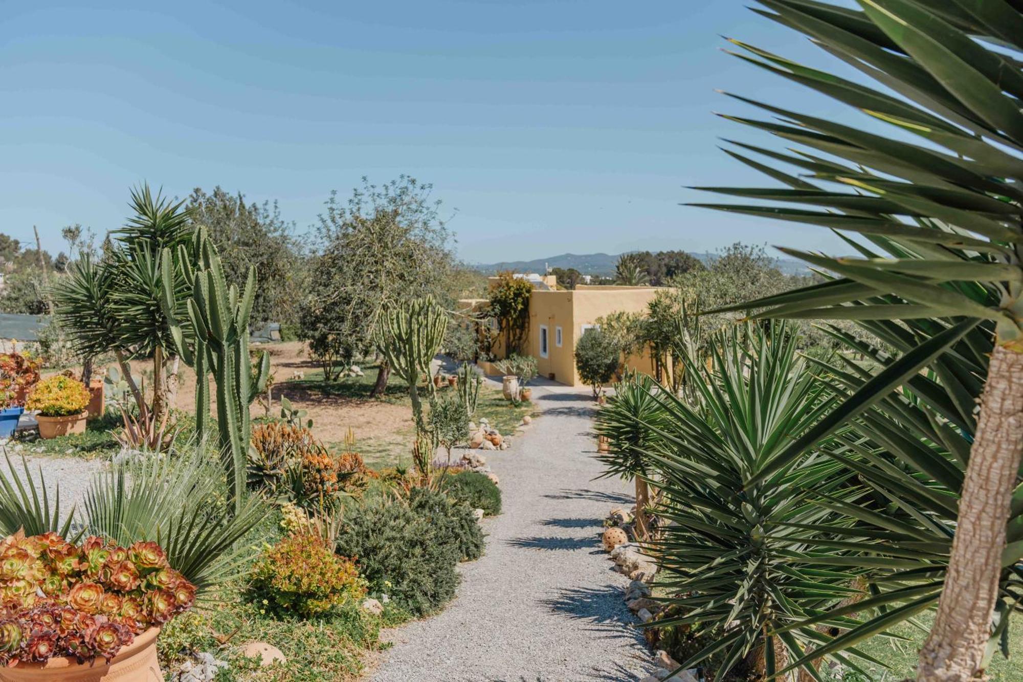 Mariposas Country house *